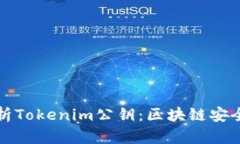 深入解析Tokenim公钥：区块